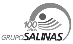 Logotipo Grupo Salinas